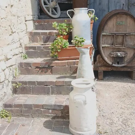 Ferme Aux Leopards Normands Bed & Breakfast *
